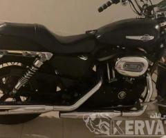 للبيع هارلي سبوستر 1200 xl
