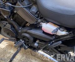 2019 Harley-Davidson Street 750 Motorcycle
