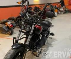 هارلي ديفدسون فات بوب Fat Bob