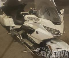 جولد وينج ٢٠١٩ - 1