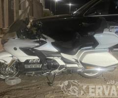 جولد وينج ٢٠١٩ - 2