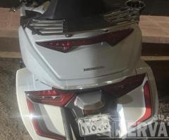 جولد وينج ٢٠١٩ - 3